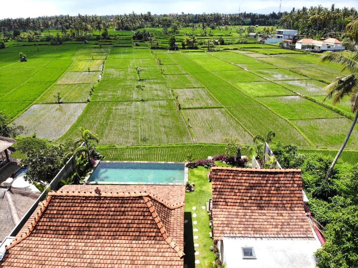 Villa O'Hea Ubud Экстерьер фото