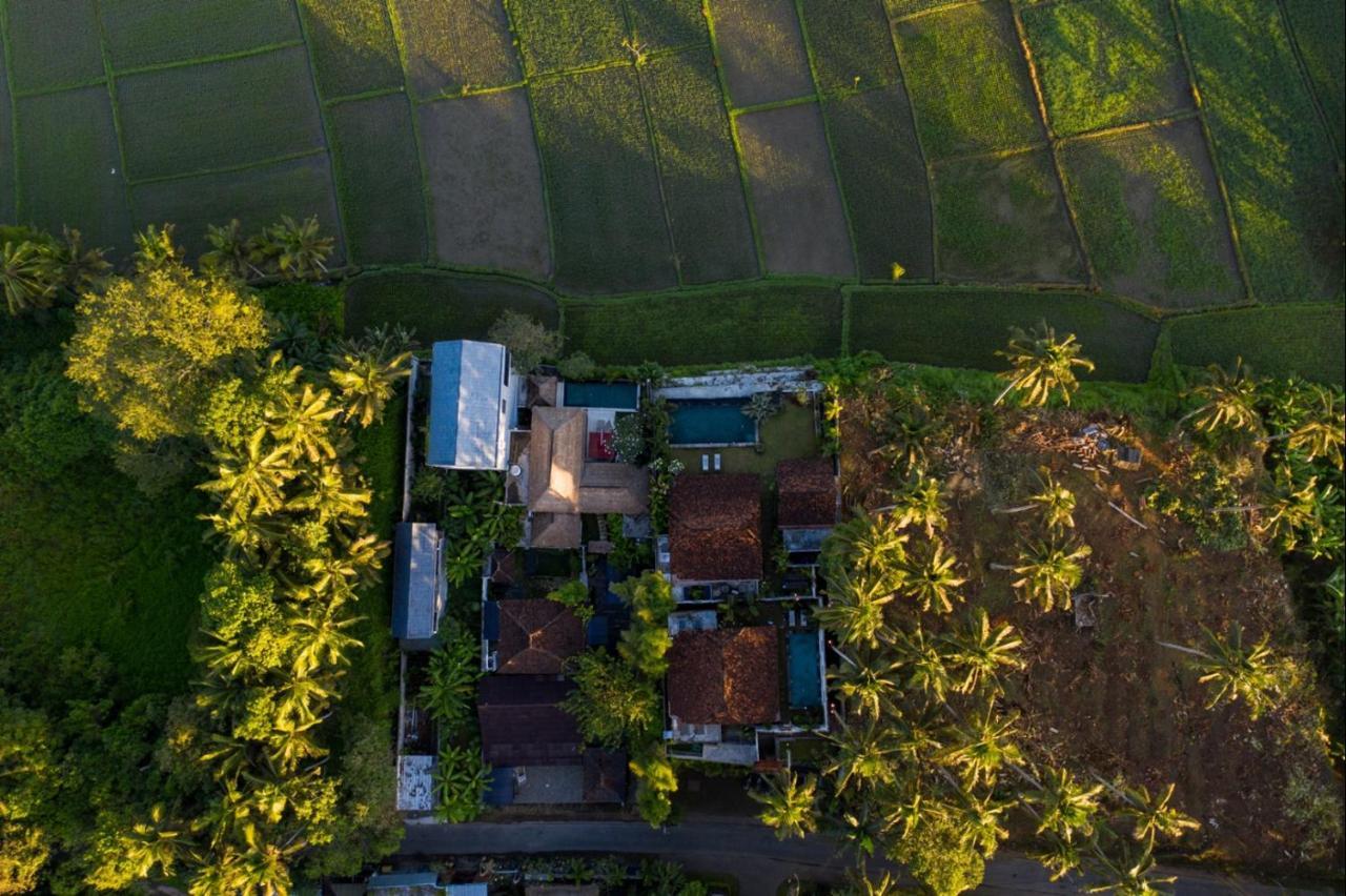 Villa O'Hea Ubud Экстерьер фото